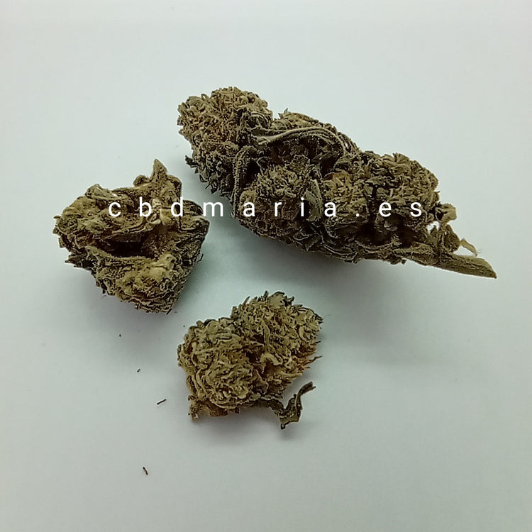 Flor CBD, cannabis SOLO CALIDAD PREMIUM