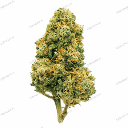 Cali Haze CBD Flores  OFERTA 20gr 80€  a 4.00 €/gr